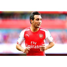 "Santi Cazorla" Arsenal FC 2024-15