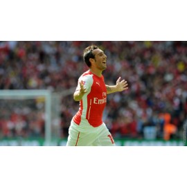 "Santi Cazorla" Arsenal FC 2024-15